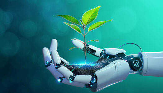 Sostenibilità digitale in azienda pratiche concrete per un’innovazione a basso impatto