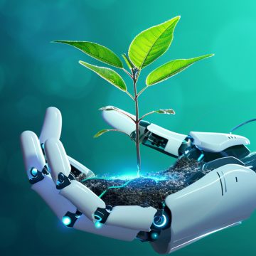 Sostenibilità digitale in azienda pratiche concrete per un’innovazione a basso impatto