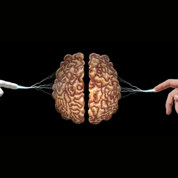 Psicologi e Intelligenza Artificiale: a Lecce una giornata di riflessione su etica, pratica e innovazione